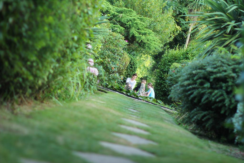 Luccombe Hall Hotel